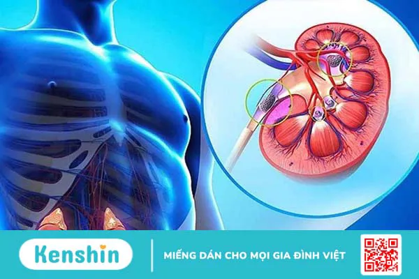 Đau xương khớp có ăn được chuối tiêu không? Lưu ý cần biết