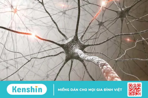 Đi tiểu không tự chủ là bệnh gì? Lưu ý 13 nguyên nhân dưới đây