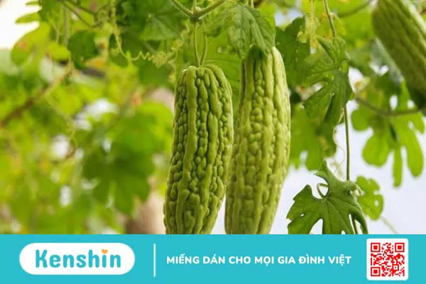 Dị ứng da mặt phải làm sao? 5 cách trị dị ứng da mặt tại nhà đơn giản