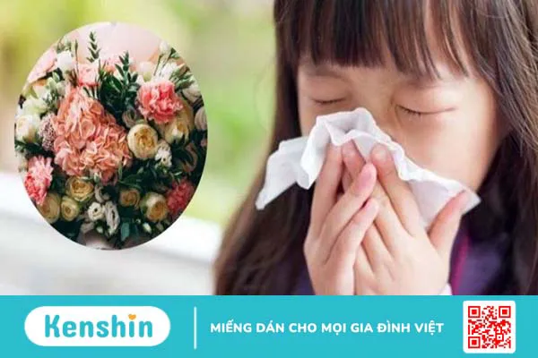 Dị ứng phấn hoa phải làm sao? Cách xử lý và phòng ngừa dị ứng phấn hoa