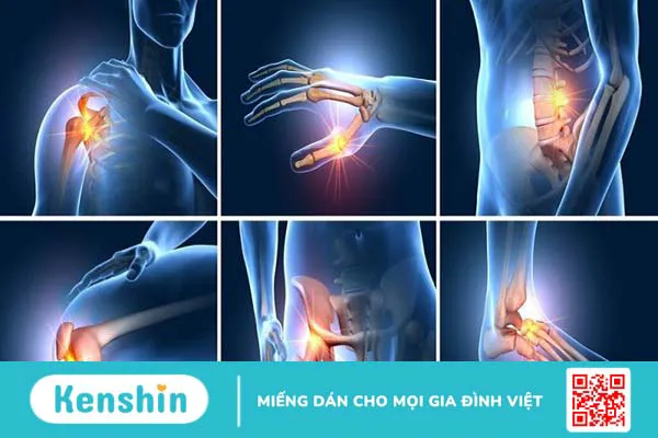 Địa liền có tác dụng gì? 9 tác dụng của địa liền có thể bạn chưa biết