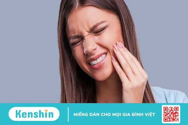 Địa liền có tác dụng gì? 9 tác dụng của địa liền có thể bạn chưa biết