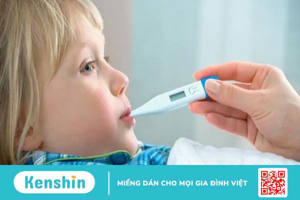 Địa liền có tác dụng gì? 9 tác dụng của địa liền có thể bạn chưa biết