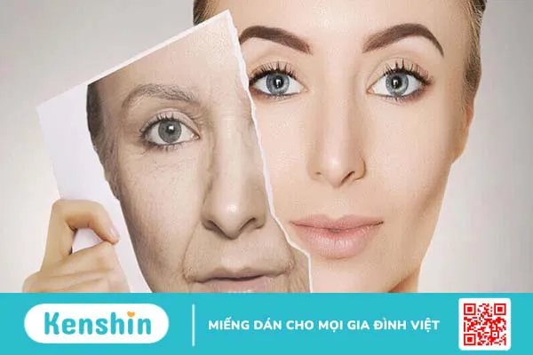 Đông trùng hạ thảo là gì? Công dụng, cách dùng, liều dùng và tác dụng phụ