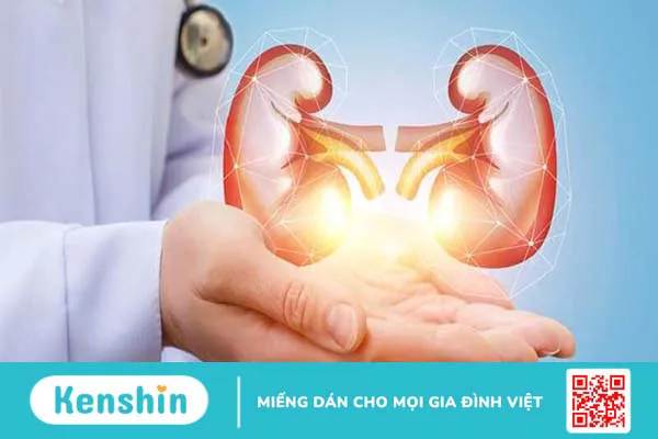 Đông trùng hạ thảo là gì? Công dụng, cách dùng, liều dùng và tác dụng phụ