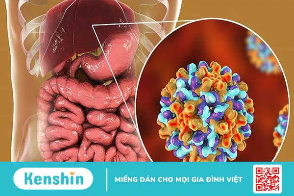 Dưa hấu bao nhiêu calo? Ăn dưa hấu có béo không và lưu ý khi ăn