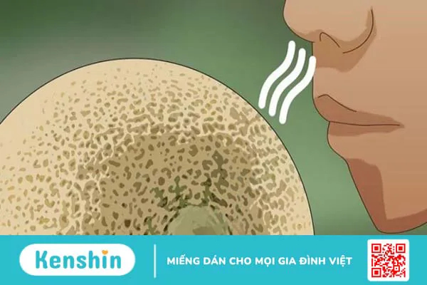 Dưa lưới bao nhiêu calo? Ăn dưa lưới có béo không? Cách ăn giảm cân