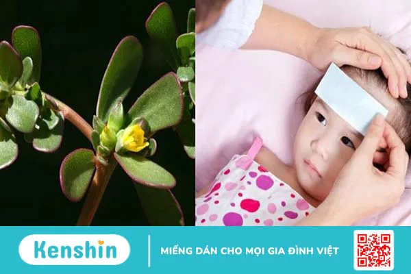 Dùng biện pháp dân gian chăm sóc trẻ bị tay chân miệng cần lưu ý gì?