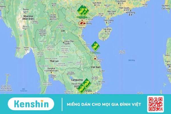 Dược phẩm Vidipha của nước nào? Các sản phẩm nổi bật