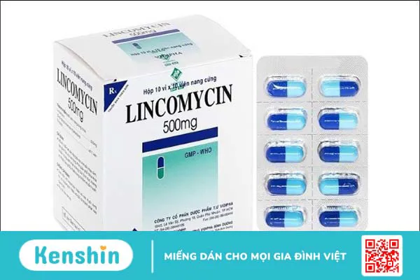 Dược phẩm Vidipha của nước nào? Các sản phẩm nổi bật