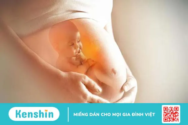 Enterogermina có dùng được cho bà bầu không? Lưu ý khi dùng