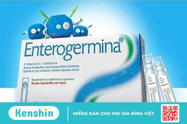 Enterogermina có dùng được cho bà bầu không? Lưu ý khi dùng