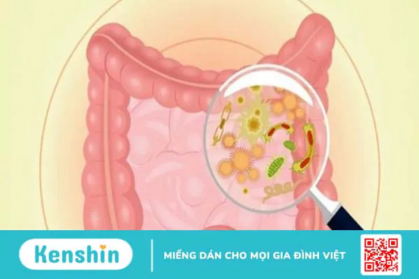 Enterogermina có tác dụng gì? 8 công dụng thuốc Enterogermina cần biết