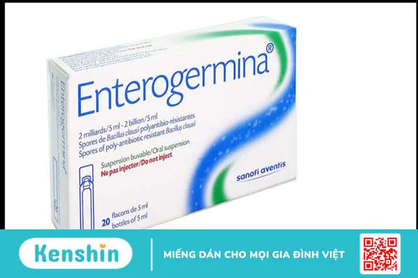 Enterogermina có tác dụng gì? 8 công dụng thuốc Enterogermina cần biết