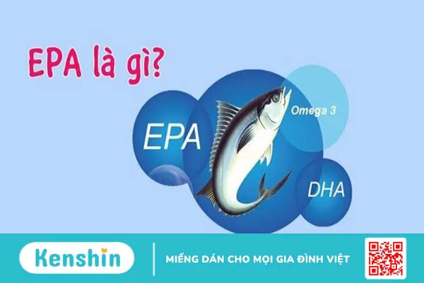 EPA là gì? 8 tác dụng, cách dùng, tác dụng phụ của EPA đối với cơ thể bạn cần biết