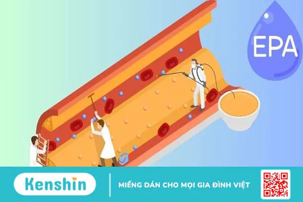 EPA là gì? 8 tác dụng, cách dùng, tác dụng phụ của EPA đối với cơ thể bạn cần biết