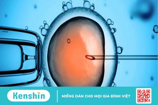 Giải pháp giúp bệnh nhân hiếm muộn có con