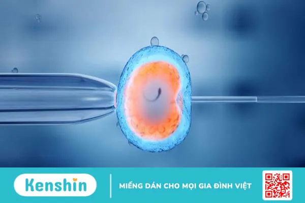 Giải pháp giúp bệnh nhân hiếm muộn có con