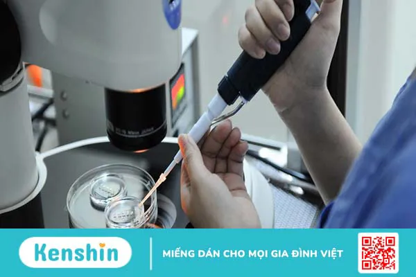 Giải pháp giúp bệnh nhân hiếm muộn có con