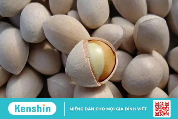 Ginkgo biloba là gì? Cách dùng, liều dùng, lưu ý khi sử dụng