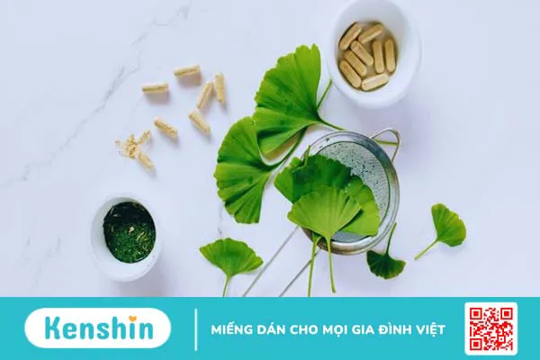 Ginkgo biloba là gì? Cách dùng, liều dùng, lưu ý khi sử dụng