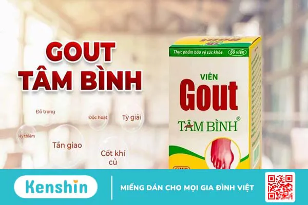 Giới thiệu viên Gout Tâm Bình mua ở đâu, có tốt không?