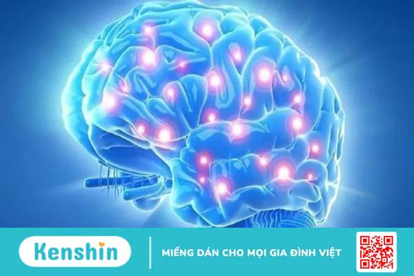 Giới thiệu viên uống bổ não Kinh Vương Não Bộ mua ở đâu, có tốt không?