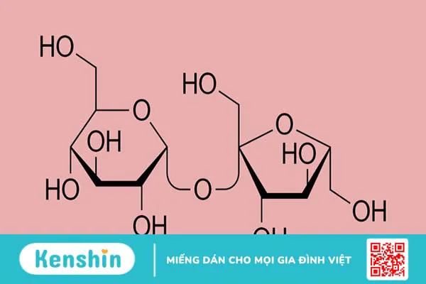 Glucose, fructose và sucrose: Sự khác biệt và ảnh hưởng đối với sức khỏe