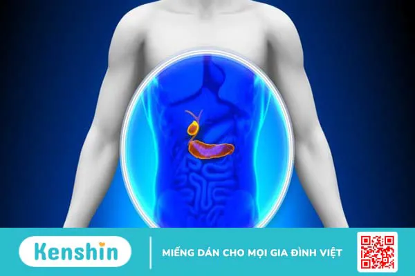 Glucose là gì? Lợi ích của glucose với sức khỏe