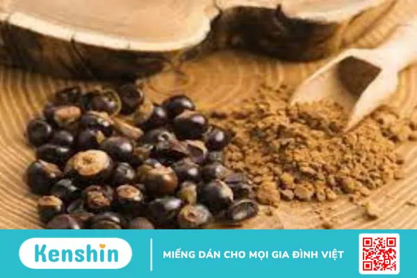 Guarana là gì? Các công dụng của guarana đối với sức khỏe