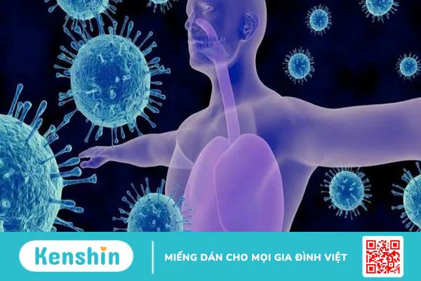 Gừng giúp chữa cảm cúm như thế nào?