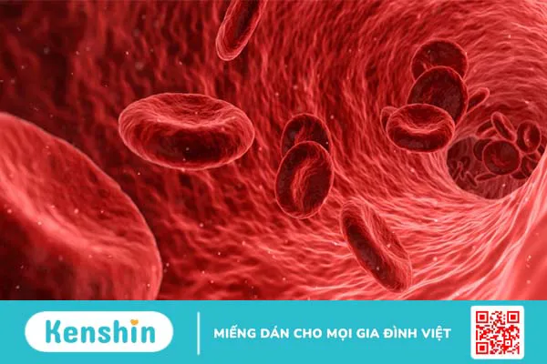 Gừng giúp tăng ham muốn tình dục như thế nào?