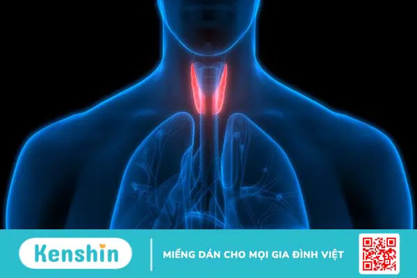 Hạ canxi máu: Nguyên nhân, triệu chứng, các biến chứng, phòng ngừa