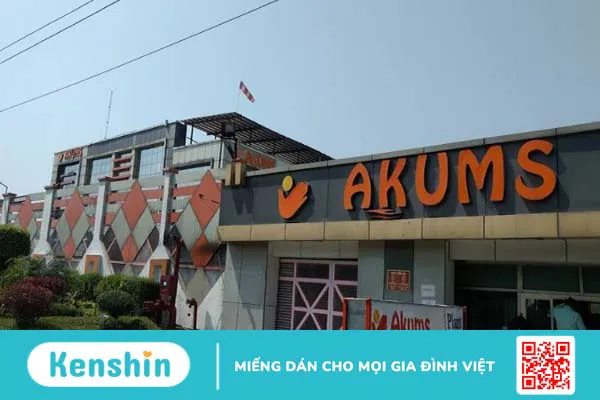 Hãng sản xuất Akums của nước nào? Có tốt không? Các dòng sản phẩm nổi bật