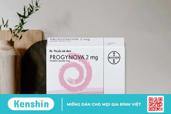 Hãng sản xuất Bayer Weimar của nước nào? Có tốt không? Các dòng sản phẩm nổi bật