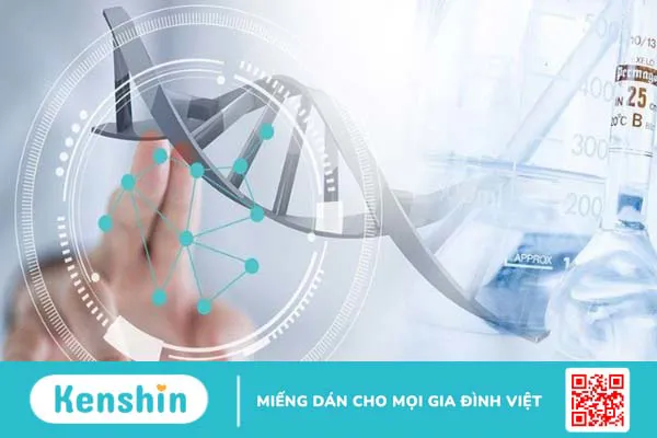 Hãng sản xuất Guju Pharm của nước nào? Có tốt không? Các dòng sản phẩm nổi bật