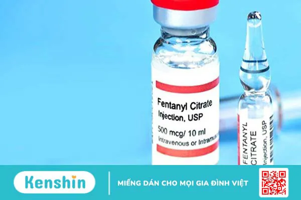 Hãng sản xuất Guju Pharm của nước nào? Có tốt không? Các dòng sản phẩm nổi bật