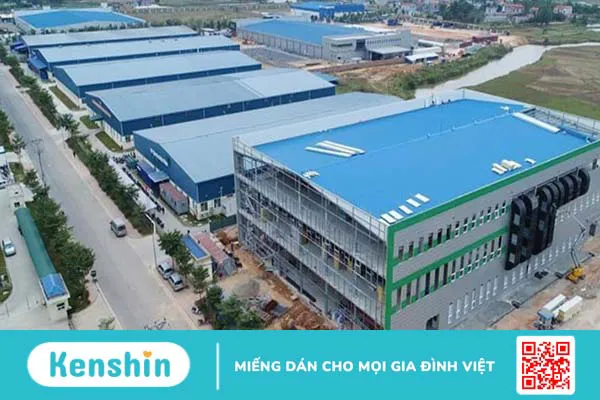 Hãng sản xuất Young – Poong Pharmaceutical của nước nào? Có tốt không? Các dòng sản phẩm nổi bật