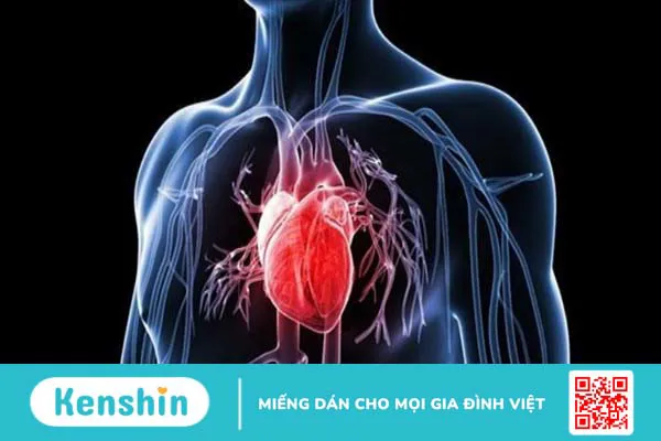 Hành tây có tác dụng gì? 9 công dụng của hành tây tốt cho sức khỏe