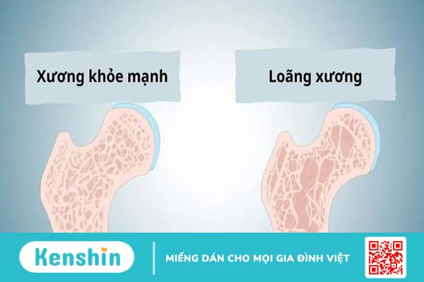 Hạt diêm mạch có tác dụng gì? 17 công dụng hạt diêm mạch (Quinoa)