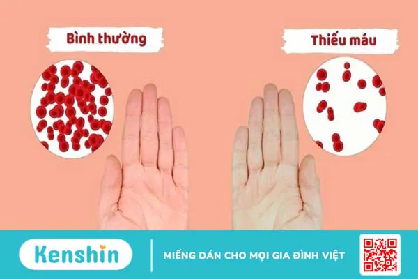 Hạt diêm mạch có tác dụng gì? 17 công dụng hạt diêm mạch (Quinoa)