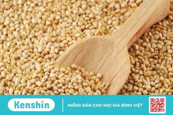 Hạt diêm mạch có tác dụng gì? 17 công dụng hạt diêm mạch (Quinoa)