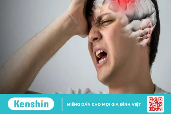 Hạt điều có tác dụng gì? 18 tác dụng của hạt điều và các lưu ý khi ăn