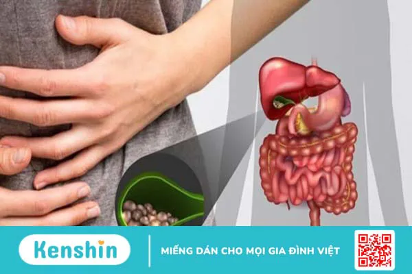 Hạt điều có tác dụng gì? 18 tác dụng của hạt điều và các lưu ý khi ăn