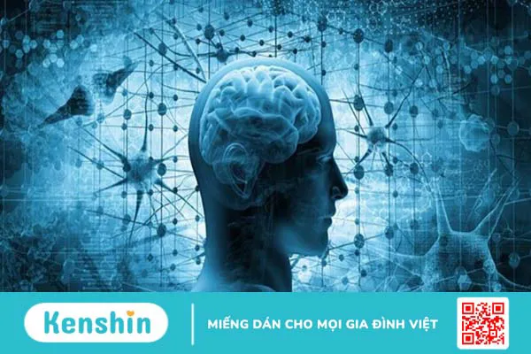 Hạt điều có tác dụng gì? 18 tác dụng của hạt điều và các lưu ý khi ăn