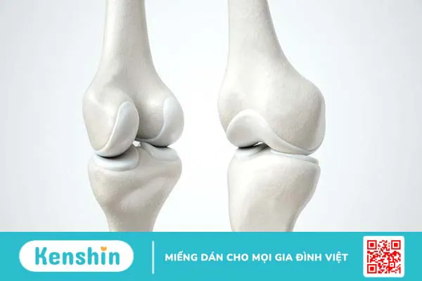 Hạt hạnh nhân có tác dụng gì? 12 tác dụng của hạt hạnh nhân bạn cần biết