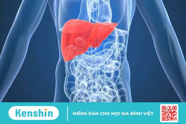 Hạt mã tiền có tác dụng gì? 9 bài thuốc và lưu ý khi chữa bệnh