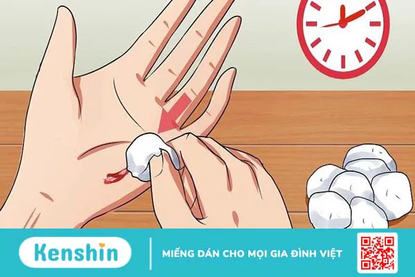 Hạt sen có tác dụng gì? 20 công dụng và các món ăn tốt cho sức khỏe