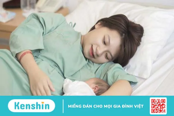 Hạt sen có tác dụng gì? 20 công dụng và các món ăn tốt cho sức khỏe