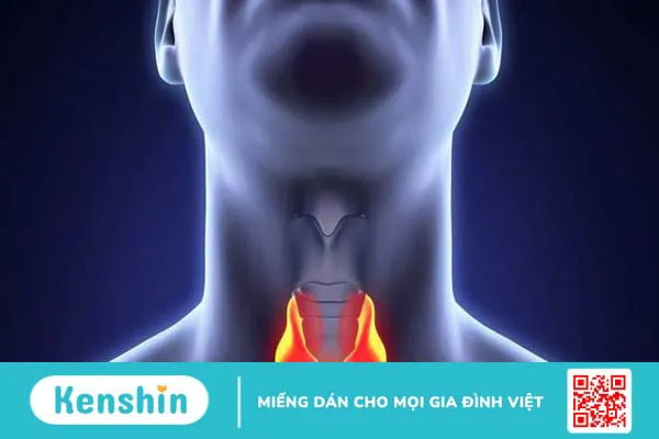 Hay buồn ngủ là dấu hiệu của bệnh gì? 13 bệnh cần biết để trị kịp thời